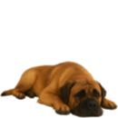 M25 Mastiff.png