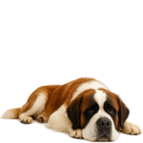 S87 St-Bernard.png