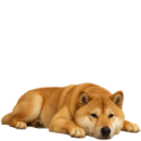 S76 Shiba .png