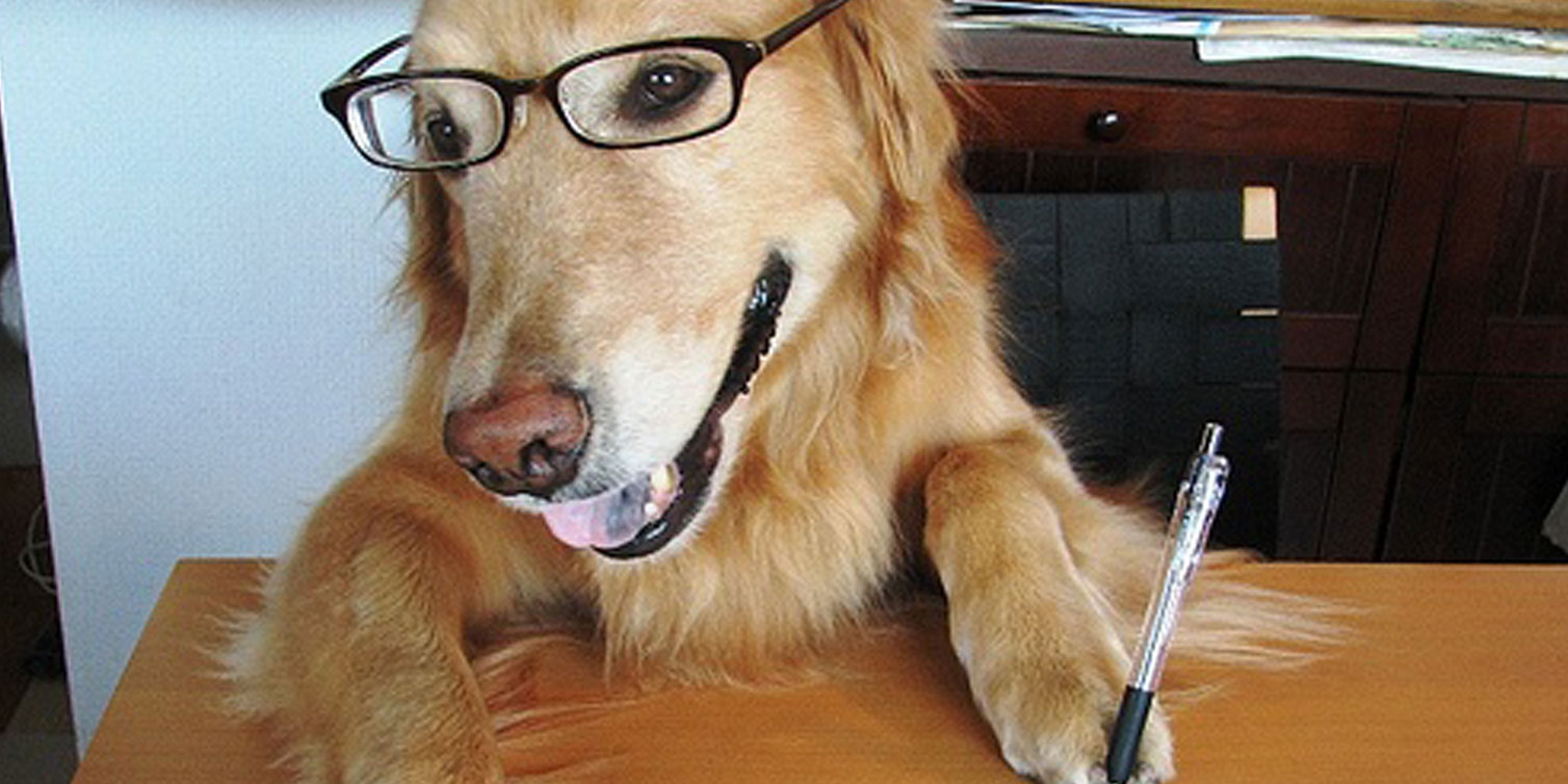 Idée nom pour un chien lettre B en 2026