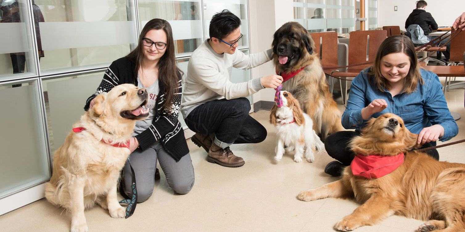 Comment aider quelqu'un qui a peur des chiens ?