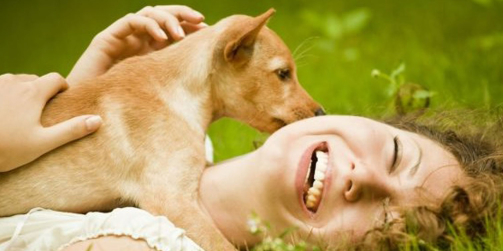 Pourquoi devrais-je vivre avec un animal ?