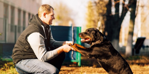 Puis-je réellement considérer mon chien comme étant ma propriété ?
