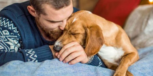 Prendre un chien ou un chat : ce que ça change vraiment au quotidien